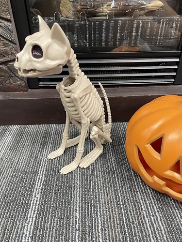 Halloween Skeleton Cat Decoration - Spooky Sitting Skeleton Cat 11 Inch
