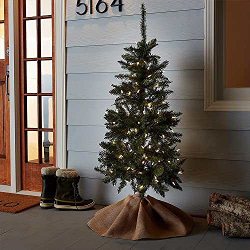 Christmas String Lights 50 Count 13ft Incandescent Bulb Mini Lights for Indoor Outdoor Decor