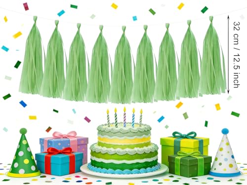 Colorful Tissue Paper Tassel Garland - Light Green 25 Pcs Party Decor