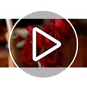 Artificial Blue Roses Bulk - 50 Realistic Silk Flowers for DIY & Decor - Blue / 50