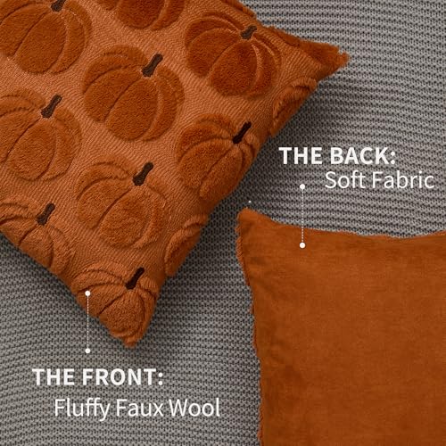 Fall Pumpkin Pillow Covers 18x18 Inches Rust Brown Set of 2 Autumn Decor