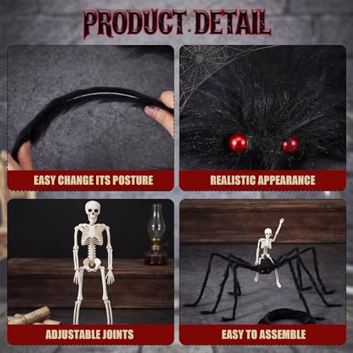 Halloween Spider and Skeleton Decoration Set - Indoor Outdoor Party Props
