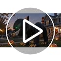 Black 7FT Halloween Inflatable Cat with Moving Head & LEDs - Yard Decor