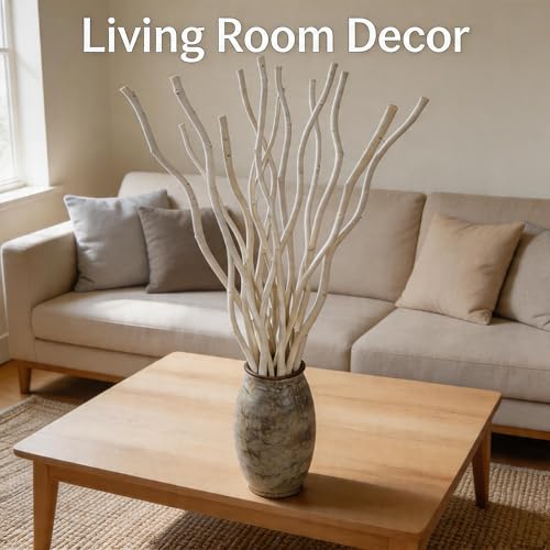 White Dried Curly Willow Branches - 15 Stems, 18-19 Inch Natural Birch Decor