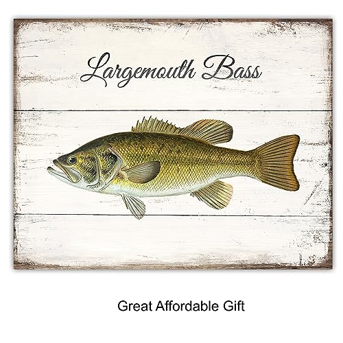 Vintage Fish Patent Prints - 11x14 Rustic Wall Art for Man Cave, Fishing Gift Set of 4