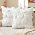 16x16 Fall Pumpkin Pillow Covers Set of 2 - White Decor for Couch & Outdoor