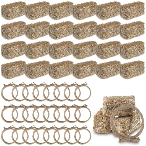 Mini Western Hay Bale Decorations Set - 48pcs for Party & Fall Decor - Rustic Themed Props