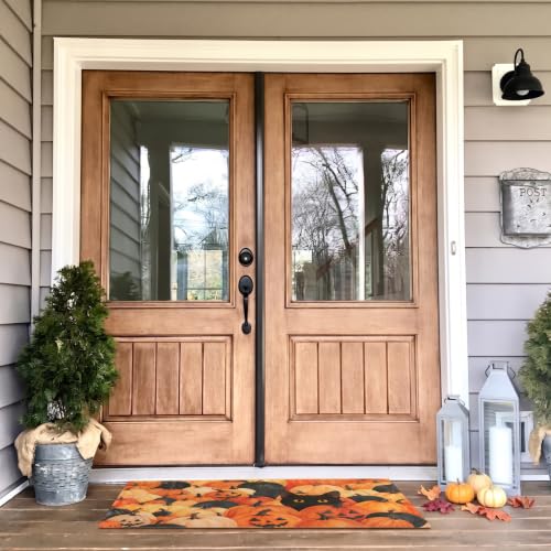 Halloween Fall Kitchen Rug with Black Cat and Pumpkin - Non-Slip Washable Doormat 30x17 Inches - Orange Variation
