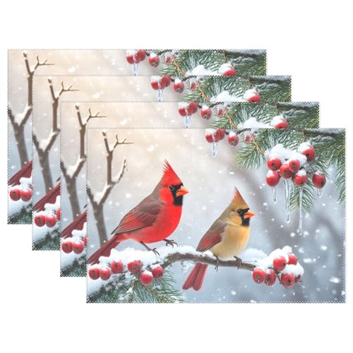 Winter Birds Placemat Set of 6 - Christmas Snow Poinsettia Berry Table Mats - 12x18 Inch, Washable & Fast Dry