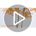 7FT Artificial Maple Tree with Pot - Fall Orange Autumn Decor for Indoor & Outdoor