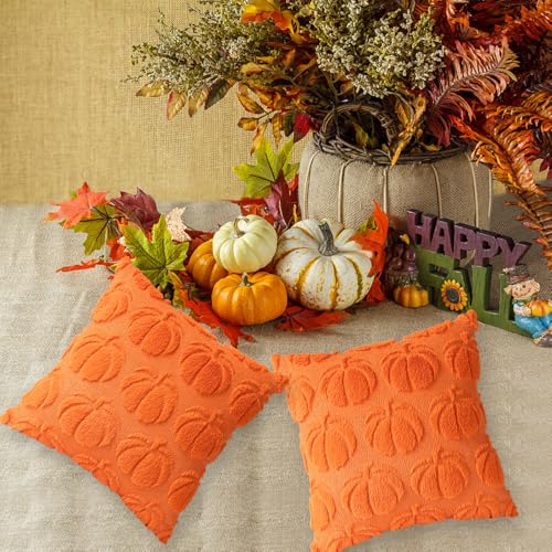 Autumn Pumpkin Cushions Set - Halloween & Thanksgiving Decor 45x45 cm