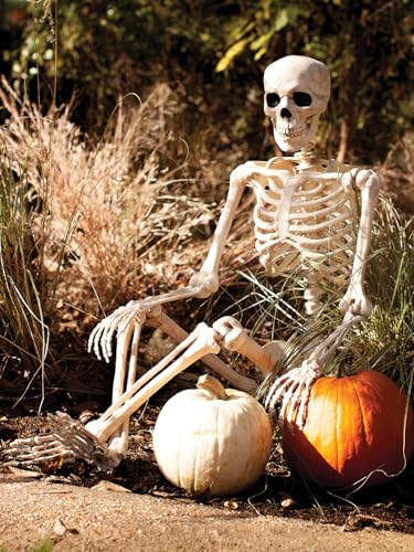 5 FT Life Size Skeleton Halloween Decoration with Posable Limbs