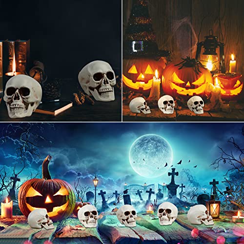 Halloween Skull Decorations 8pcs Mini Realistic Human Skulls for Haunted House & Party - Variation of 2.75 Inch