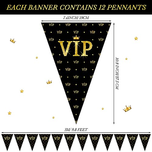 VIP Pennant Banners - Movie Night Party Decorations, 49 ft Long