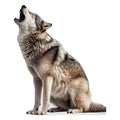 Life Size Wolf Cardboard Cutout Standee - Feline & Animal Support Decor
