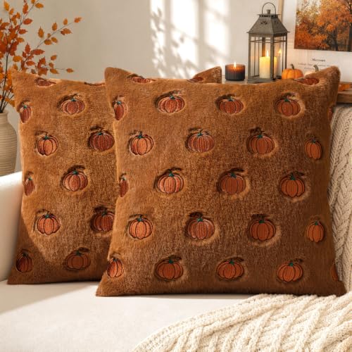 MIULEE Fall Pumpkin Pillow Covers 18x18 Pack of 2 - Rust Autumn Decor