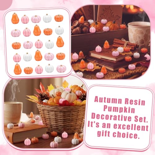 Mini Pink Resin Pumpkins for Crafts & Fall Decor - 100 Pieces, Variation Pink+White+Brown