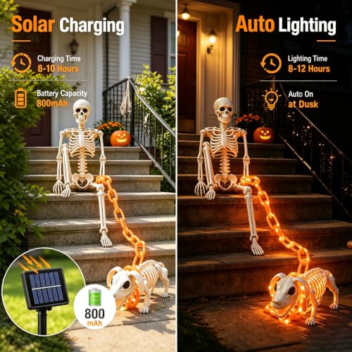 Outdoor Halloween Skeleton & Dog Skeleton with Glowing Chain - Weatherproof Decor