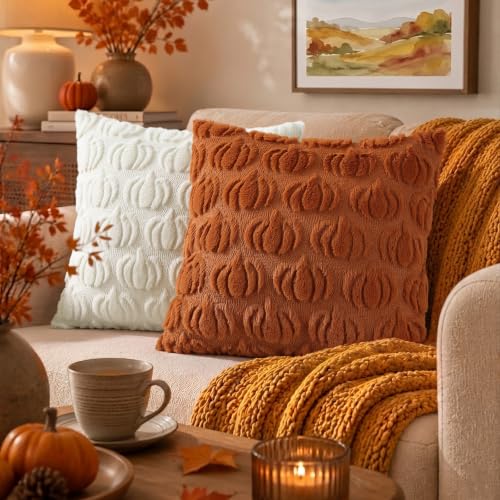 Fall Pumpkin Throw Pillow Covers Set of 2 - Light Rust 18x18 Inches - Farmhouse Decor
