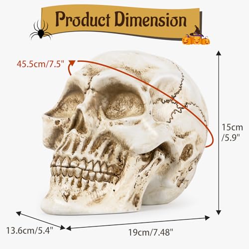 White Resin Skull Statue for Home Decor Gothic Halloween Ornament