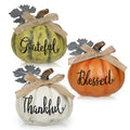 Fall Pumpkin Decor Set - 3 Mini Resin Pumpkins with 'Grateful', 'Thankful', 'Blessed' - Style 7