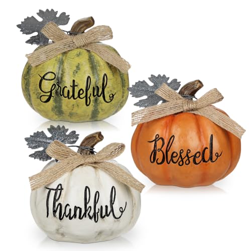 Fall Pumpkin Decor Set - 3 Mini Resin Pumpkins with 'Grateful', 'Thankful', 'Blessed' - Style 7
