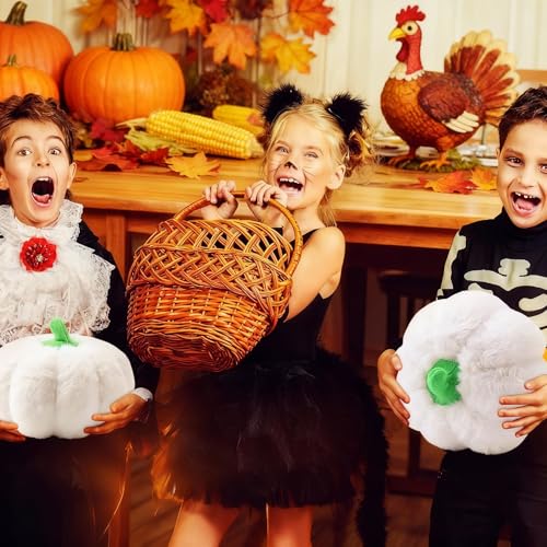 Simgoing 4 Pcs White Pumpkin Decorative Pillows Fall Halloween Thanksgiving