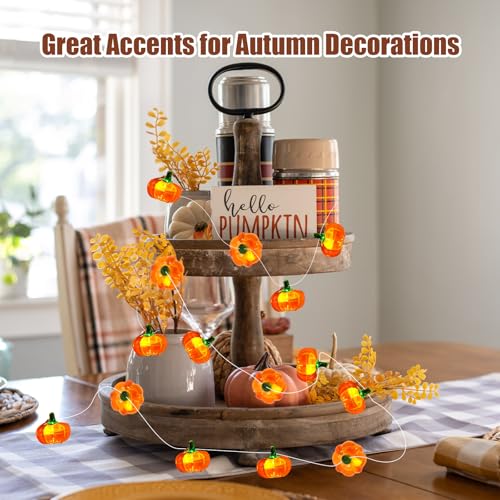 3D Pumpkin String Lights 10Ft Halloween Decorations LED Battery Operated Orange