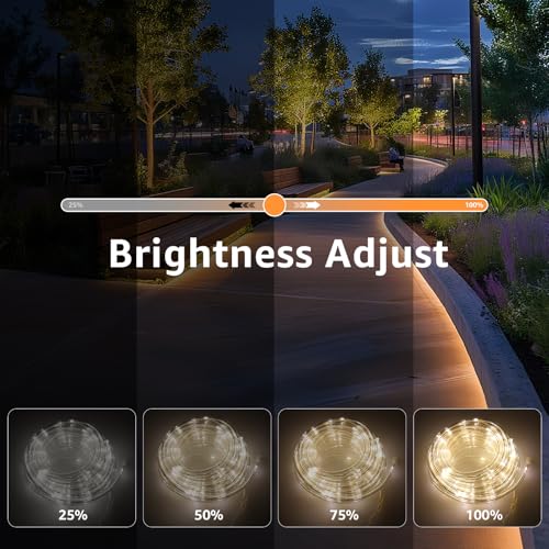 Blue 2x50ft LED Rope Light with Remote & 8 Modes - Outdoor Twinkle Decor