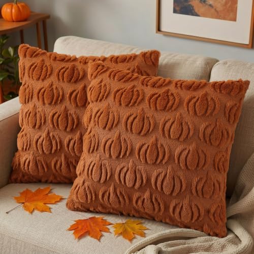 Fall Pumpkin Throw Pillow Covers Set of 2 - Light Rust 18x18 Inches - Farmhouse Decor