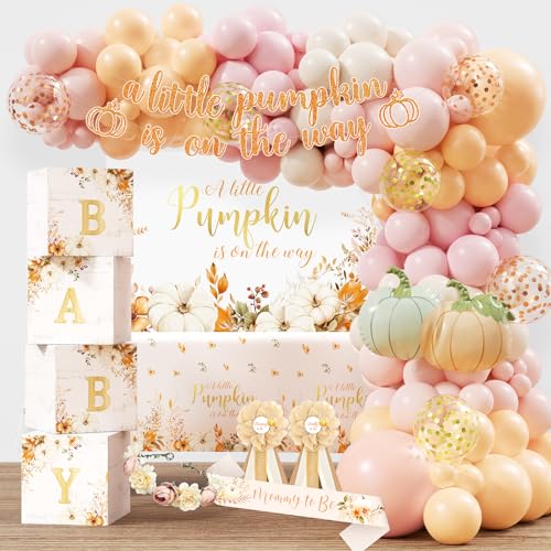 Fall Baby Shower Decorations Set for Girl - Rustic Pumpkin Theme Party Supplies