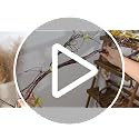 Artificial Tree Branches Set - 2 Pcs 106-118 Inch Long Flexible Vines for Halloween Decor