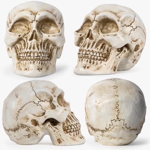 White Resin Skull Statue for Home Decor Gothic Halloween Ornament