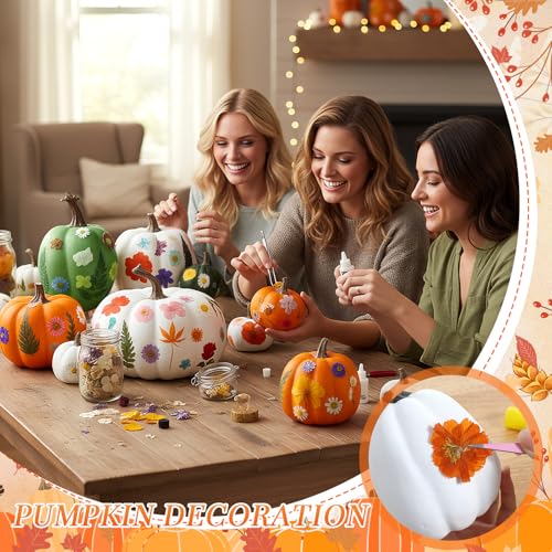 Fall Craft Pumpkin & Dried Flower DIY Kit - Orange White Green, 12 Pcs