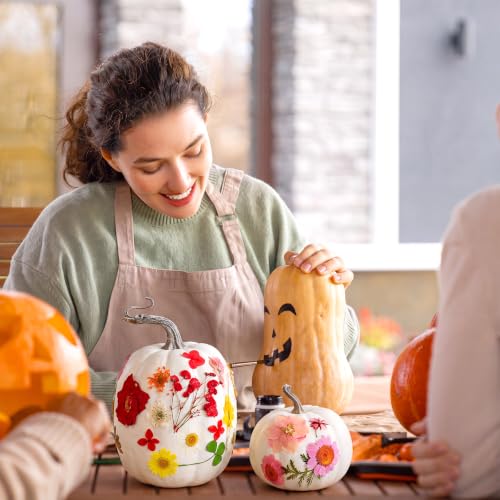 White Artificial Pumpkin Craft Kit with Dried Flowers, 24 Pieces