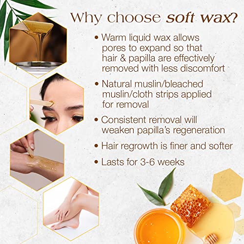 All Purpose Honee Soft Wax for Hair Removal - 14 oz - Honey Infused Formula