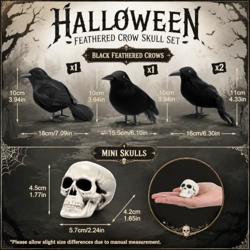 Halloween Crow and Skull Decor Set - Spooky Gothic Halloween Decorations