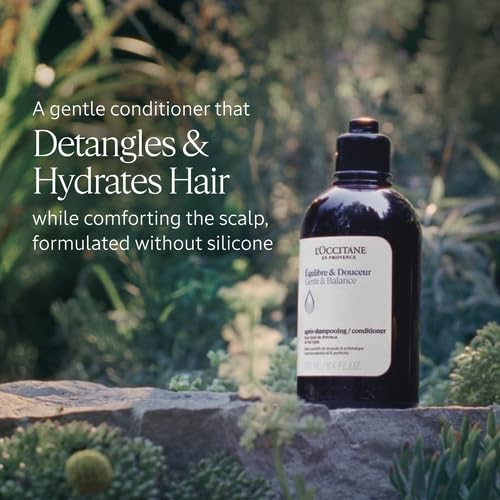 L'Occitane Aromachologie Conditioner - Gentle & Balancing Formula | 8.40 Fl. Oz.