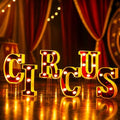 Aurelema Circus Themed Party Decorations LED Sign - Variation: Circus