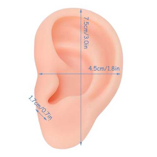 Dioche 1 Pair Silicone Ear Model Piercing Practice Model Silicone Ear Model Ear Body Part Kit for Earrings Display Ear Piercing Exercise (Light Skin Color)