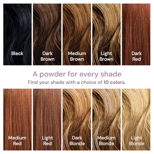 Style Edit Root Touch Up Powder Light Brown 0.13 oz - 1 Pack - Instant Gray Coverage