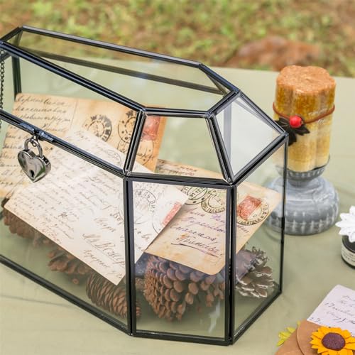 Gothic Glass Box with Lock & Swing Lid for Keepsakes and Cards - Coffin-Shaped, 10.4 Inch