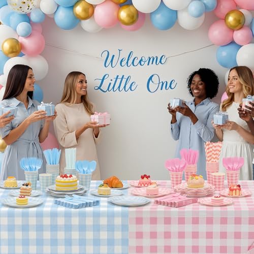 Pink and Blue Gingham Gender Reveal Party Supplies - 452 Pcs Baby Shower Decorations