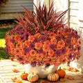 Artificial Fall Flowers Set with UV-Resistant Mums & Plants - Red Orange