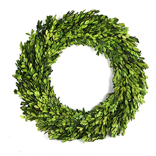 16 Inch Preserved Boxwood Wreath - Indoor Home Decor for Christmas & All Seasons - Green