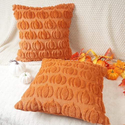 Autumn Pumpkin Faux Fur Pillow Cover Set - 18x18 Inch, Pack of 2, Fall Decor