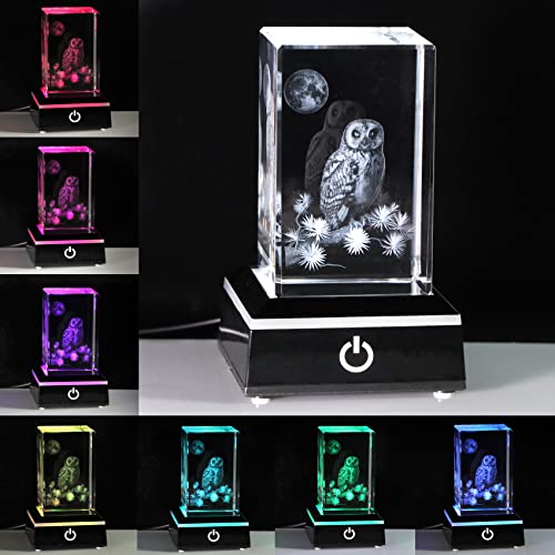 Owl Crystal Figurine with LED Light Base - 3D Laser Engraved Keepsake Gift - Variation: Owl
