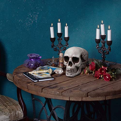 Halloween Skull Decoration Set - Realistic Plastic Skulls 3.1 x 3.5 x 4.7 Inches, 8 Pieces