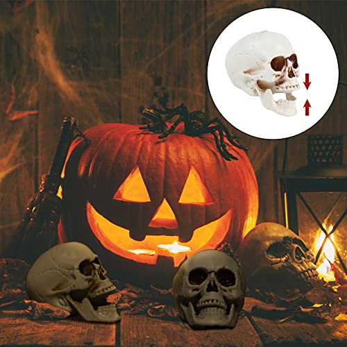 Halloween Skull Decorations 8pcs Mini Realistic Human Skulls for Haunted House & Party - Variation of 2.75 Inch