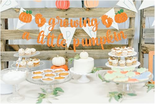 Growing a Little Pumpkin Banner Baby Shower Decorations Fall Halloween Thanksgiving